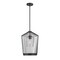 Z-Lite Lido 1 Light Pendant, Matte Black And Clear Seeded 342P13-MB - alternate 1